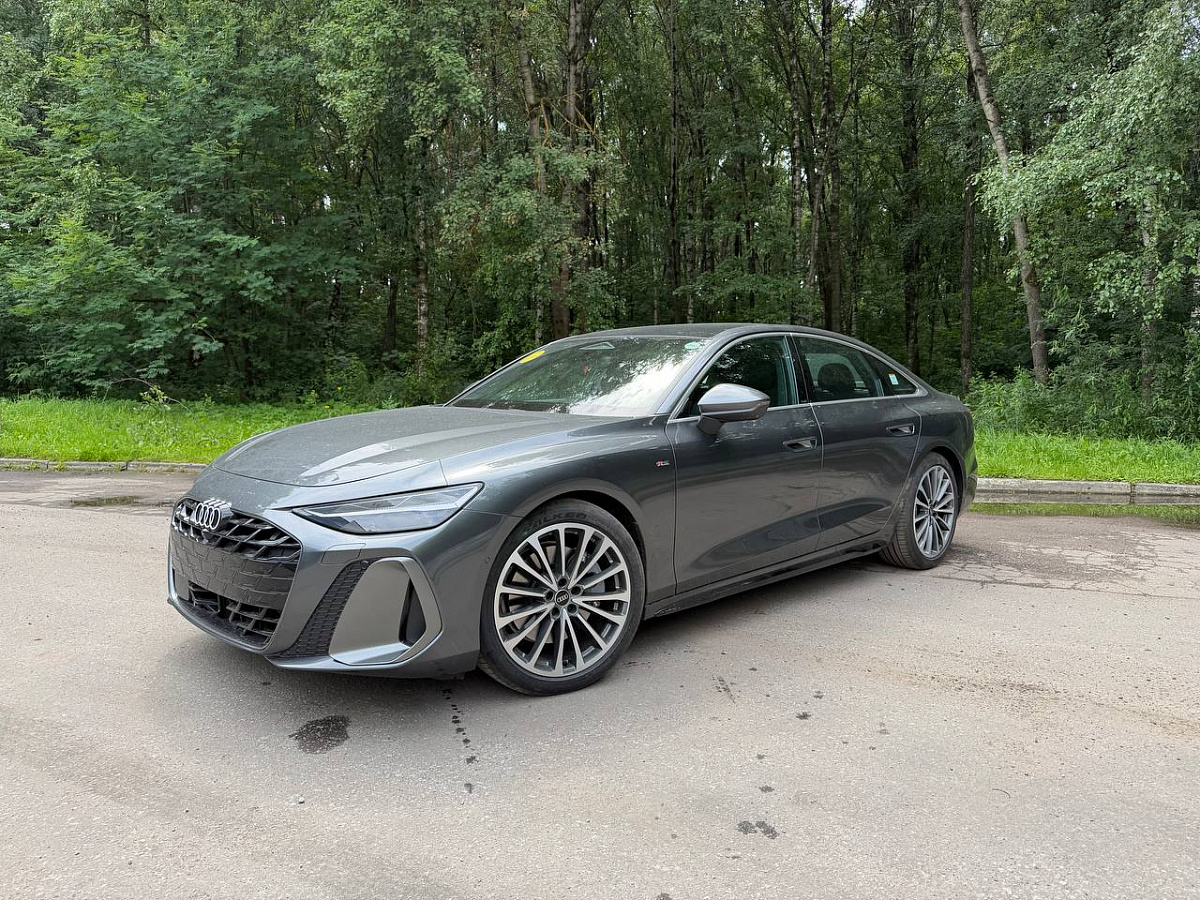 Audi A6 45 TFSI Daytona/black