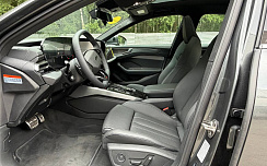 Audi A6 45 TFSI Daytona/black